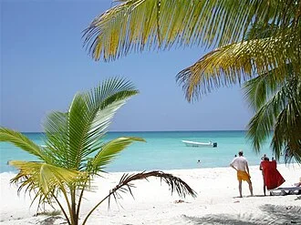 A small boat offshore beyond a palm-framed Saona beach