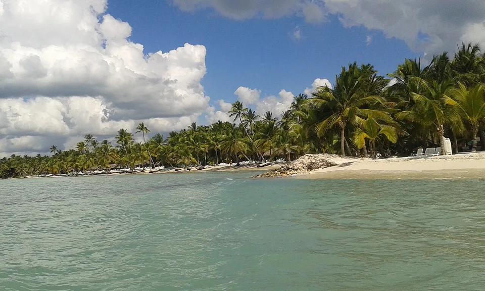 Palm-lined Saona shoreline viewed from the sea